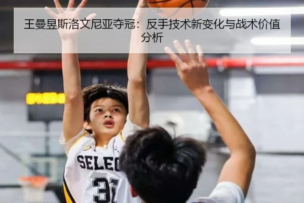 wang-man-yu-si-luo-wen-ni-ya-duo-guan-fan-shou-ji-shu-xin-bian-hua-yu-zhan-shu-jia-zhi-fen-xi-3-499.jpg